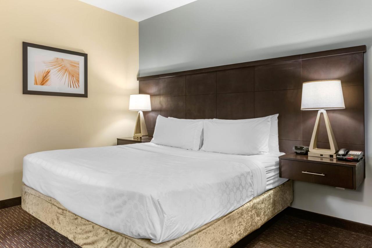 Staybridge Suites St. Petersburg Fl By Ihg Exterior photo
