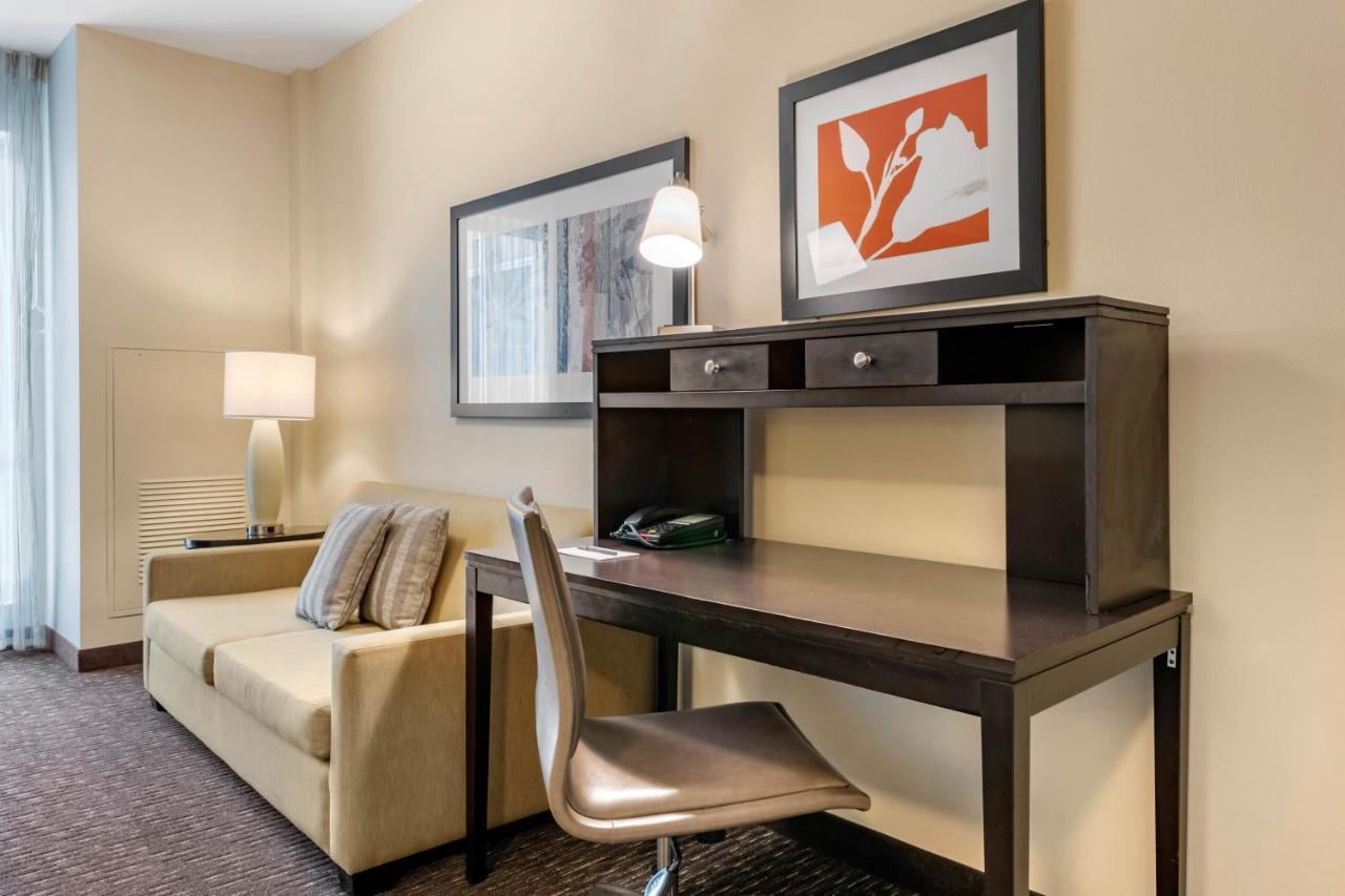 Staybridge Suites St. Petersburg Fl By Ihg Exterior photo