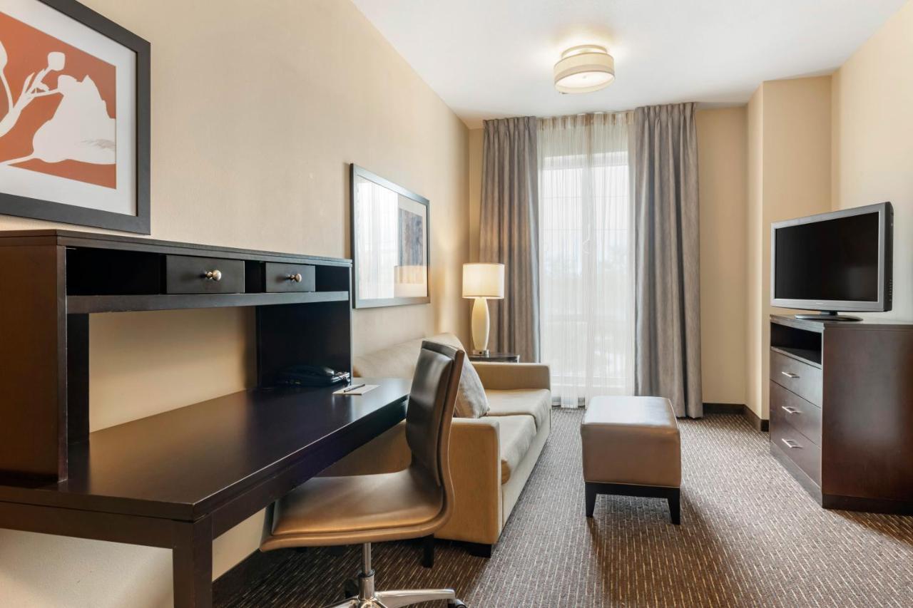 Staybridge Suites St. Petersburg Fl By Ihg Exterior photo