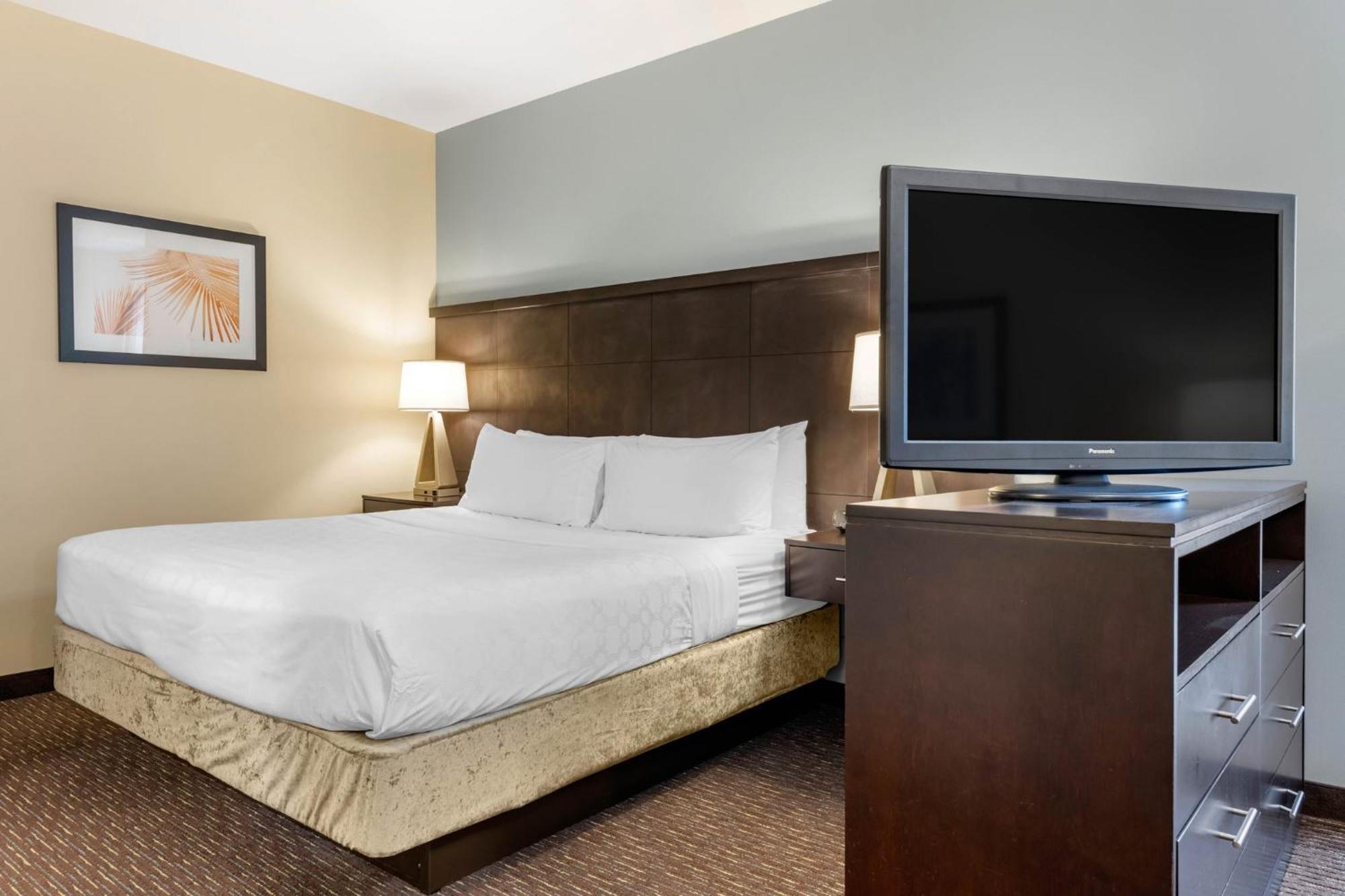 Staybridge Suites St. Petersburg Fl By Ihg Exterior photo